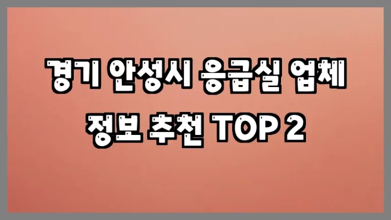 경기 안성시 응급실 업체 정보 추천 TOP 2