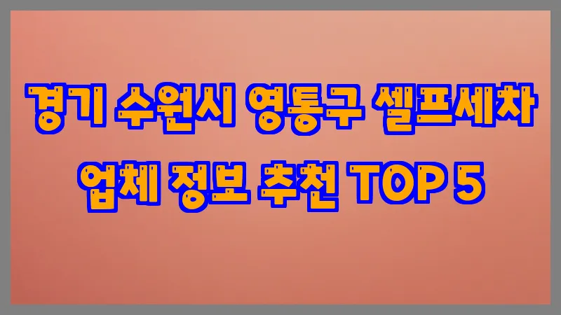경기 수원시 영통구 셀프세차 업체 정보 추천 TOP 5