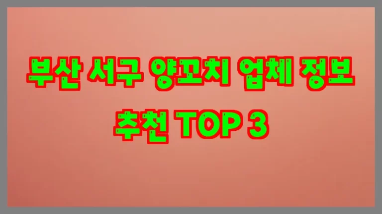 부산 서구 양꼬치 업체 정보 추천 TOP 3