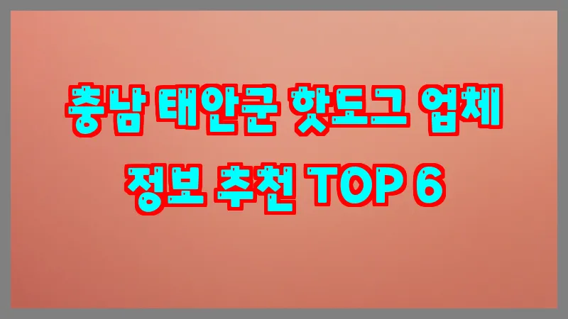 충남 태안군 핫도그