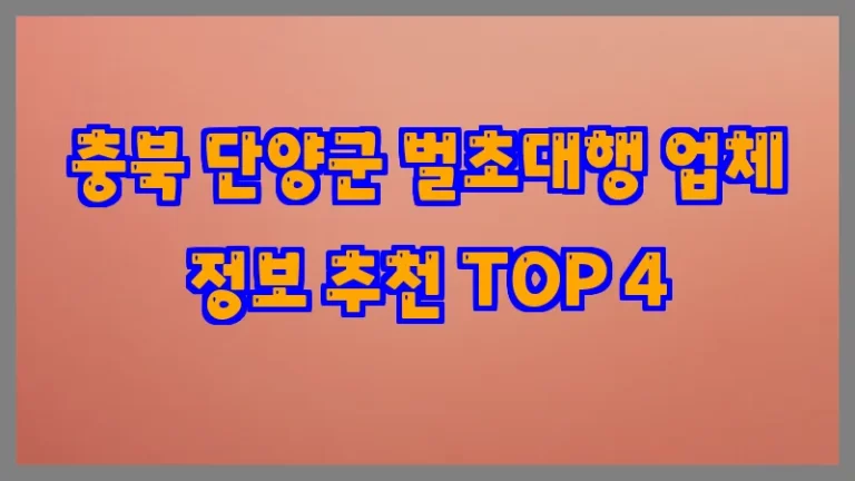 충북 단양군 벌초대행 업체 정보 추천 TOP 4