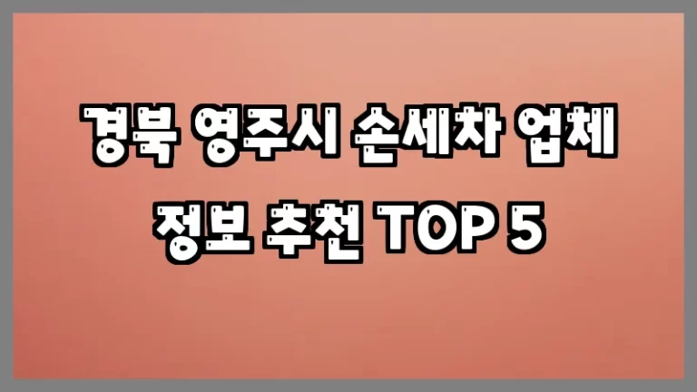 경북 영주시 손세차 업체 정보 추천 TOP 5