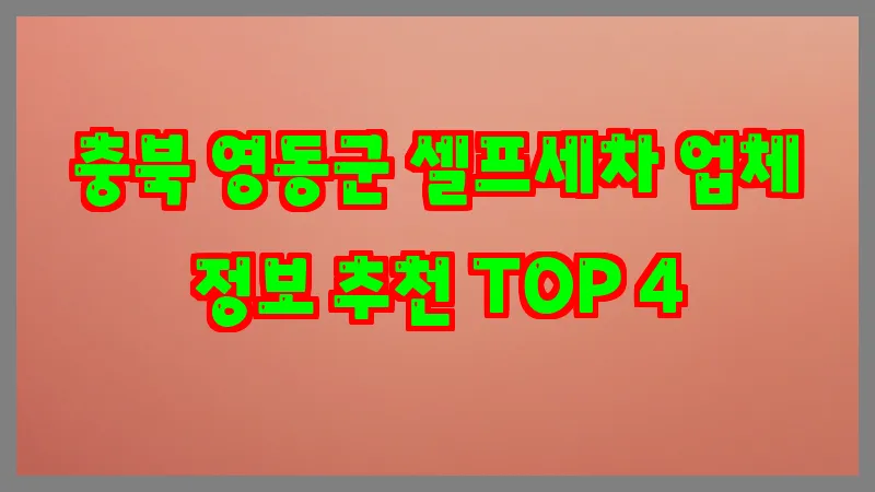 충북 영동군 셀프세차