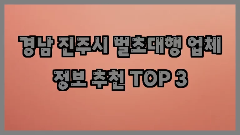 경남 진주시 벌초대행 업체 정보 추천 TOP 3