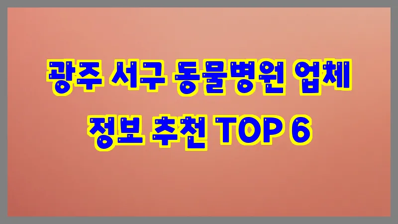 광주 서구 동물병원 업체 정보 추천 TOP 6
