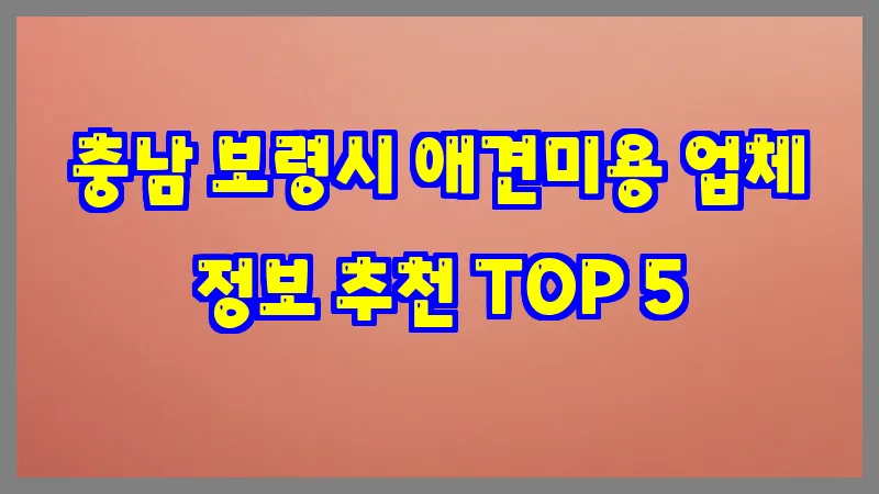 충남 보령시 애견미용 업체 정보 추천 TOP 5