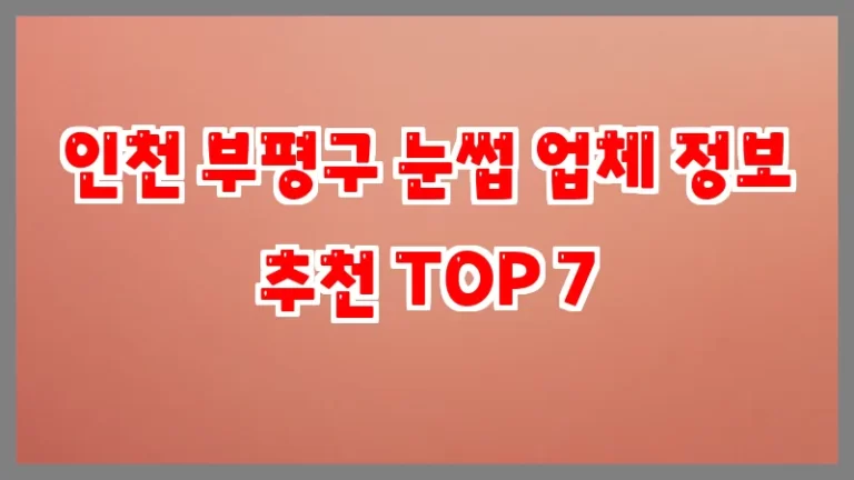 인천 부평구 눈썹 업체 정보 추천 TOP 7