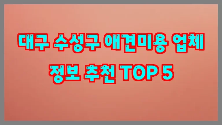대구 수성구 애견미용 업체 정보 추천 TOP 5