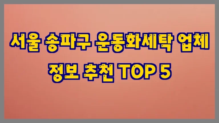 서울 송파구 운동화세탁 업체 정보 추천 TOP 5