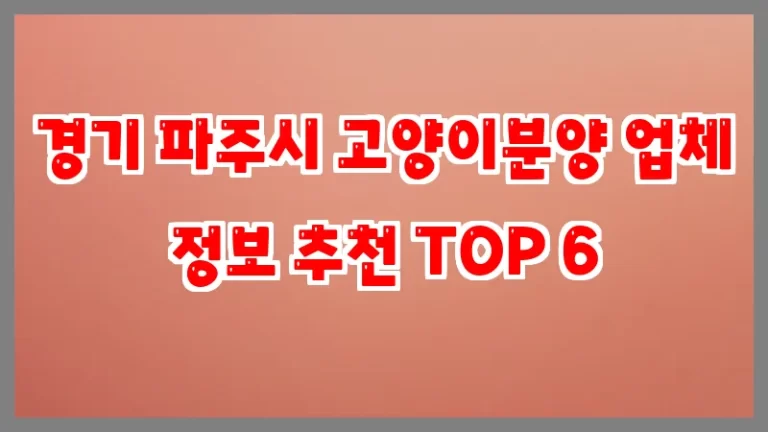 경기 파주시 고양이분양 업체 정보 추천 TOP 6