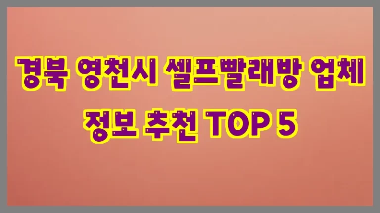 경북 영천시 셀프빨래방 업체 정보 추천 TOP 5