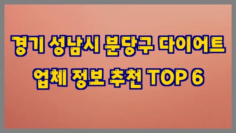경기 성남시 분당구 다이어트 업체 정보 추천 TOP 6