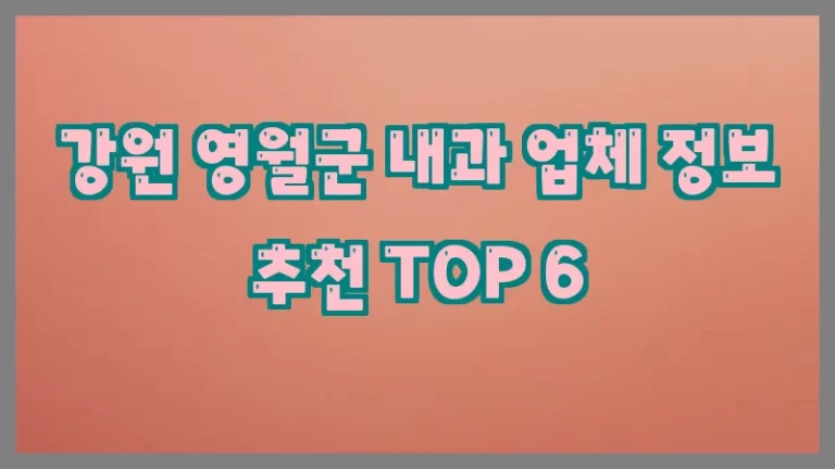 강원 영월군 내과 업체 정보 추천 TOP 6