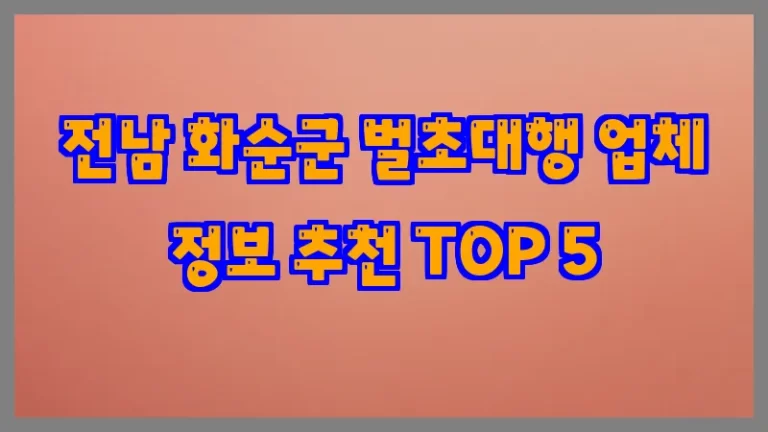 전남 화순군 벌초대행 업체 정보 추천 TOP 5