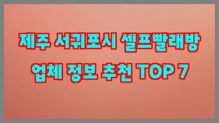 제주 서귀포시 셀프빨래방 업체 정보 추천 TOP 7