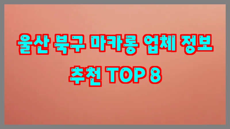 울산 북구 마카롱 업체 정보 추천 TOP 8