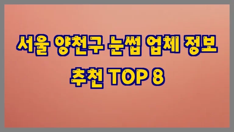 서울 양천구 눈썹 업체 정보 추천 TOP 8