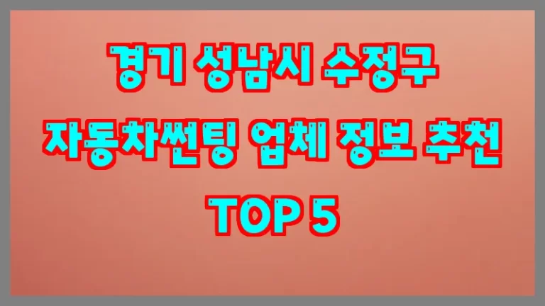 경기 성남시 수정구 자동차썬팅 업체 정보 추천 TOP 5