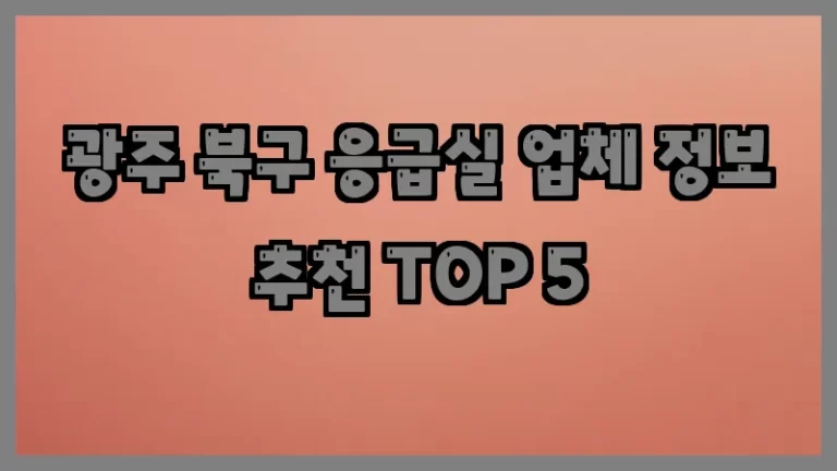 광주 북구 응급실 업체 정보 추천 TOP 5