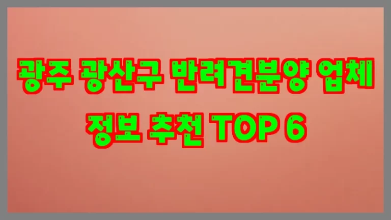 광주 광산구 반려견분양 업체 정보 추천 TOP 6