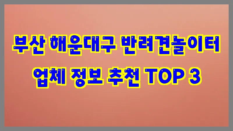 부산 해운대구 반려견놀이터