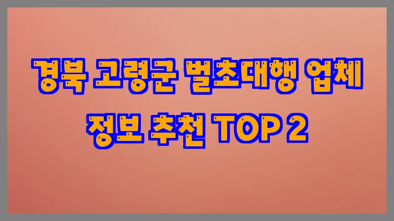 경북 고령군 벌초대행