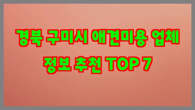 경북 구미시 애견미용 업체 정보 추천 TOP 7