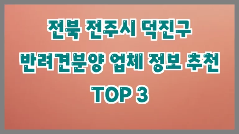 전북 전주시 덕진구 반려견분양 업체 정보 추천 TOP 3