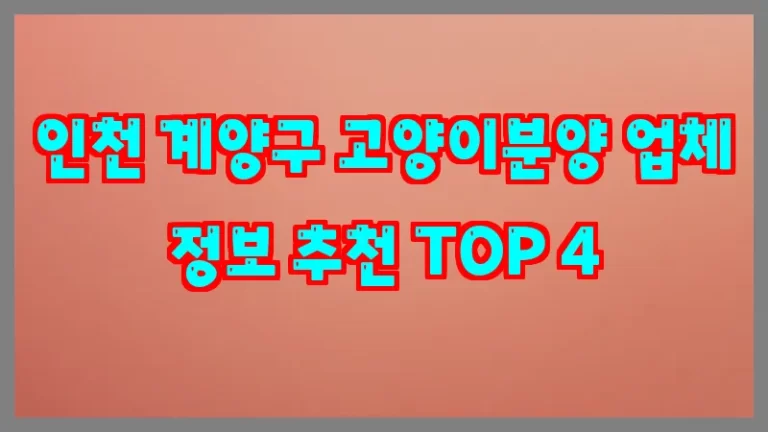 인천 계양구 고양이분양 업체 정보 추천 TOP 4