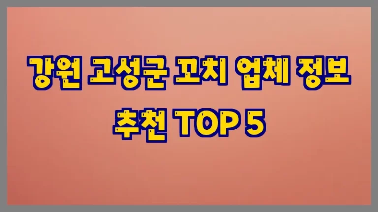 강원 고성군 꼬치 업체 정보 추천 TOP 5