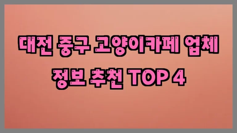 대전 중구 고양이카페 업체 정보 추천 TOP 4