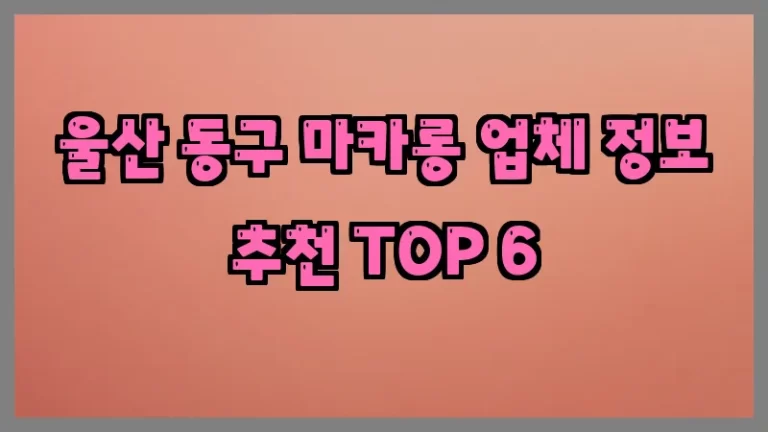 울산 동구 마카롱 업체 정보 추천 TOP 6
