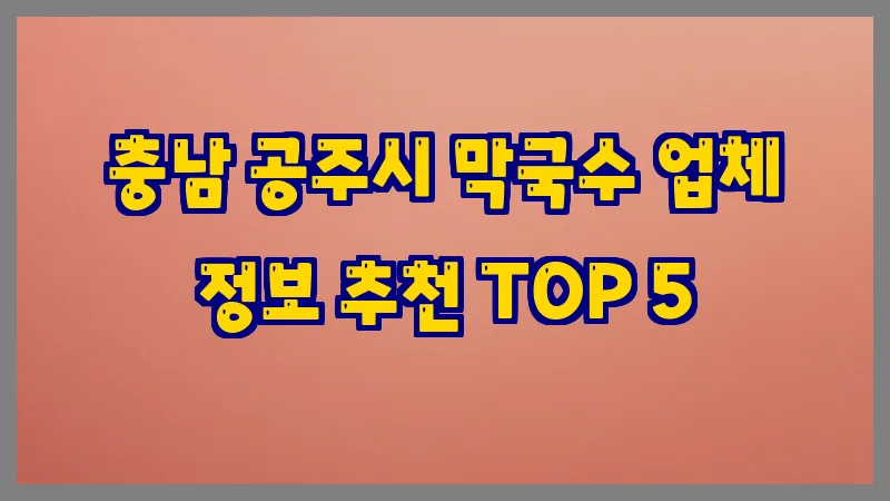 충남 공주시 막국수
