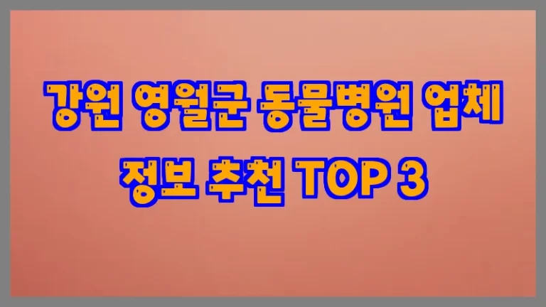 강원 영월군 동물병원 업체 정보 추천 TOP 3
