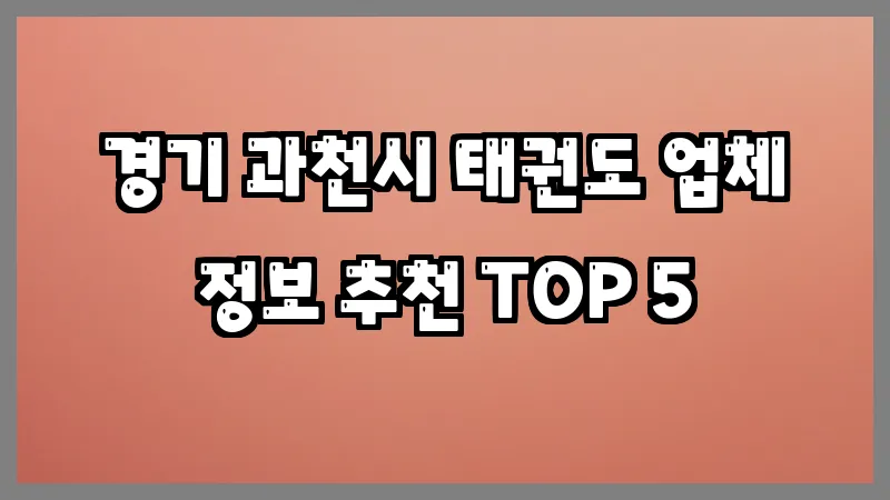 경기 과천시 태권도
