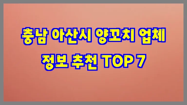 충남 아산시 양꼬치 업체 정보 추천 TOP 7