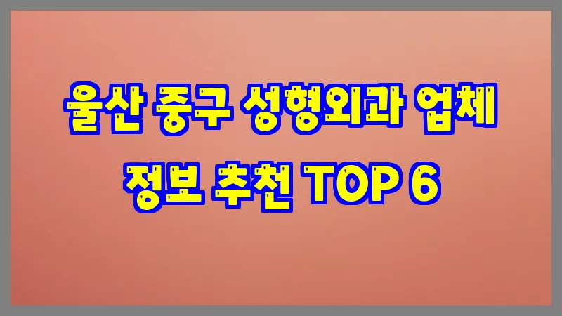 울산 중구 성형외과 업체 정보 추천 TOP 6