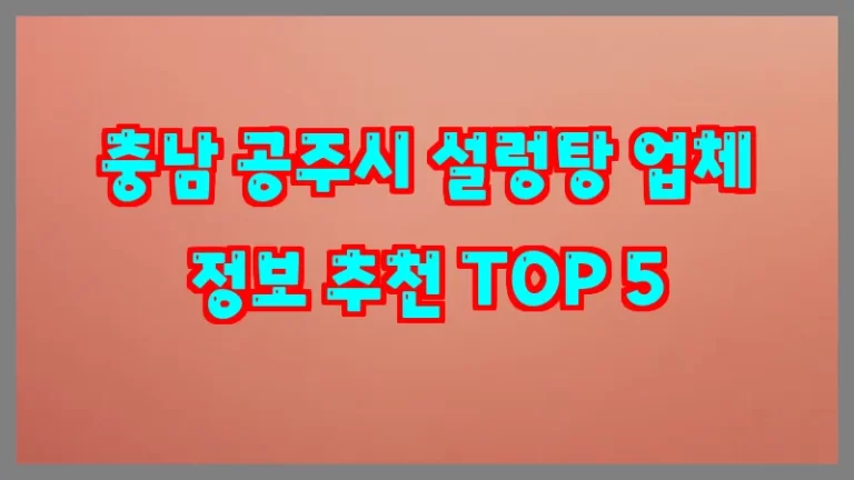충남 공주시 설렁탕 업체 정보 추천 TOP 5