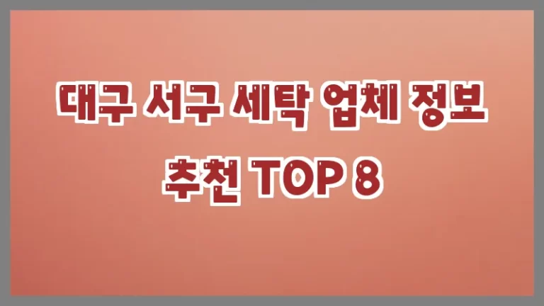 대구 서구 세탁 업체 정보 추천 TOP 8