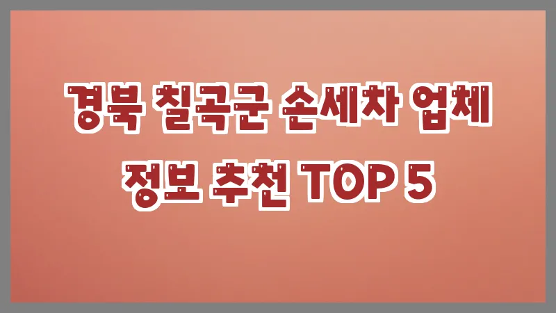 경북 칠곡군 손세차