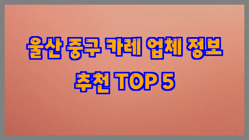 울산 중구 카레 업체 정보 추천 TOP 5