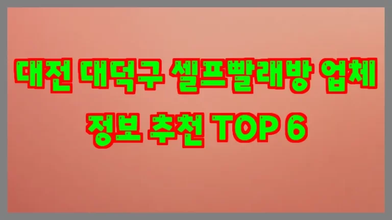 대전 대덕구 셀프빨래방 업체 정보 추천 TOP 6