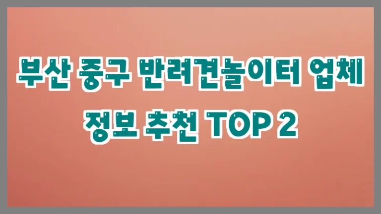 부산 중구 반려견놀이터 업체 정보 추천 TOP 2