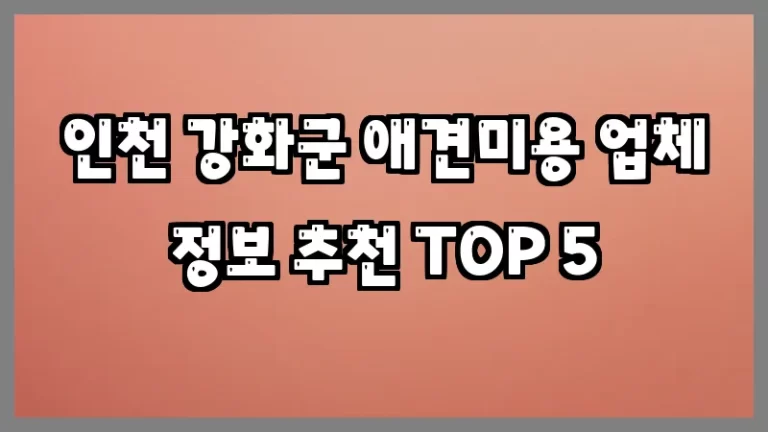 인천 강화군 애견미용 업체 정보 추천 TOP 5