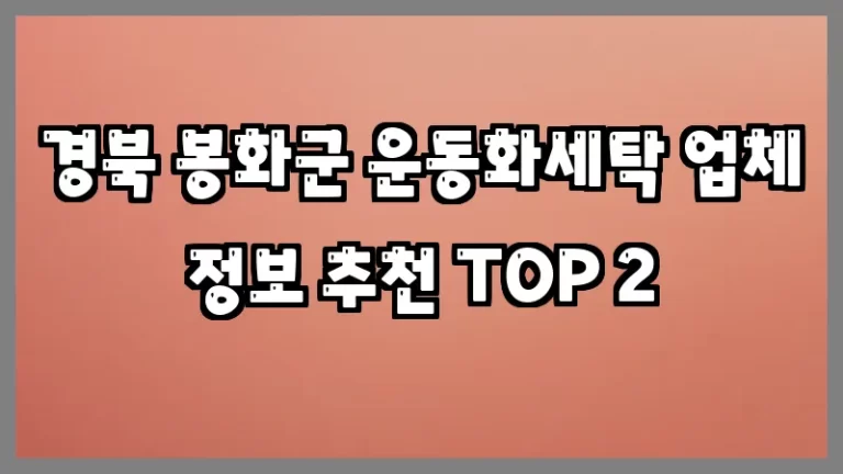 경북 봉화군 운동화세탁 업체 정보 추천 TOP 2