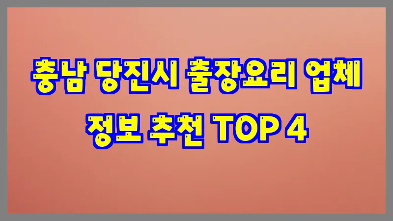 충남 당진시 출장요리