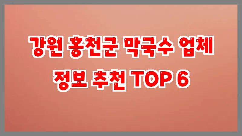 강원 홍천군 막국수 업체 정보 추천 TOP 6