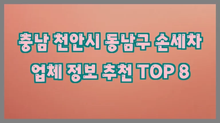 충남 천안시 동남구 손세차 업체 정보 추천 TOP 8