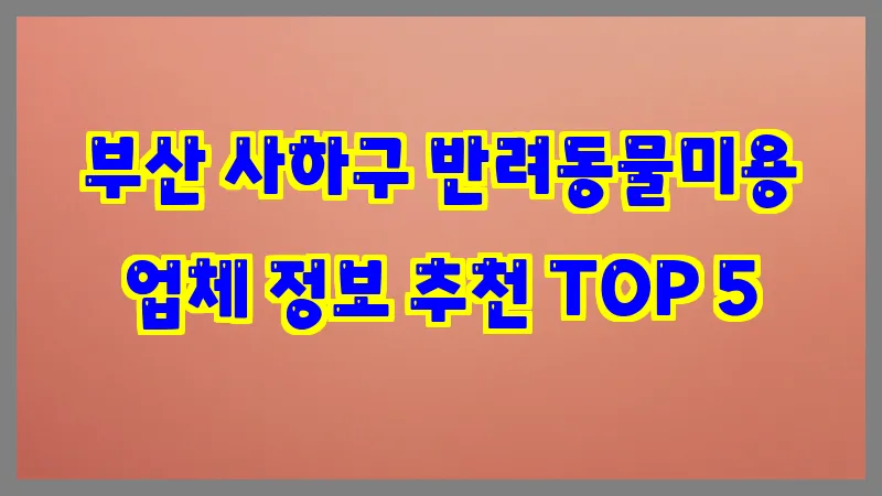 부산 사하구 반려동물미용