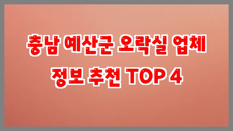 충남 예산군 오락실